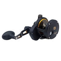 PENN Qualifies for Free Shipping PENN Fathom Lever Drag 2-Speed FTH25N #1292932
