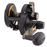 PENN Qualifies for Free Shipping PENN Fathom Lever Drag 2-Speed Left Hand FTH25NLD2LH #1422243
