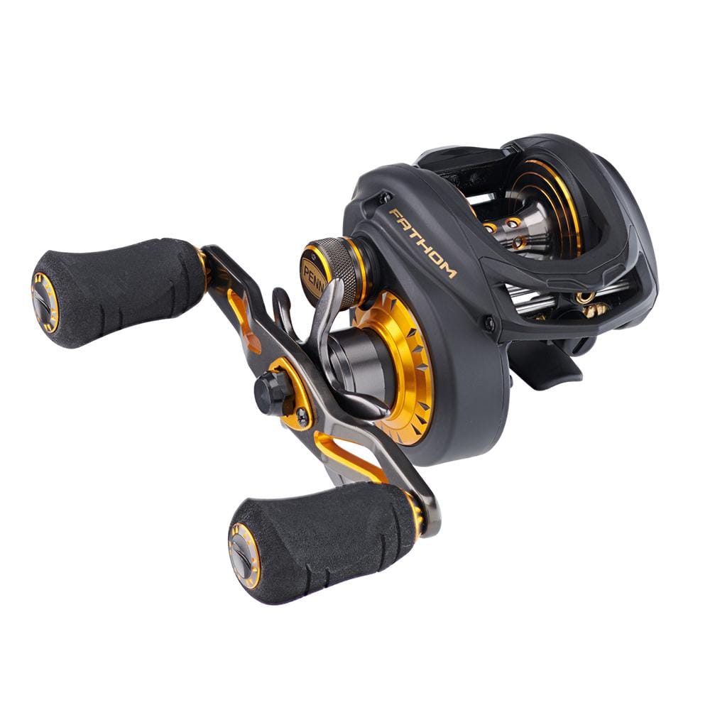 PENN Qualifies for Free Shipping Penn Fathom Low Profile Reel FTH200LP #1525452