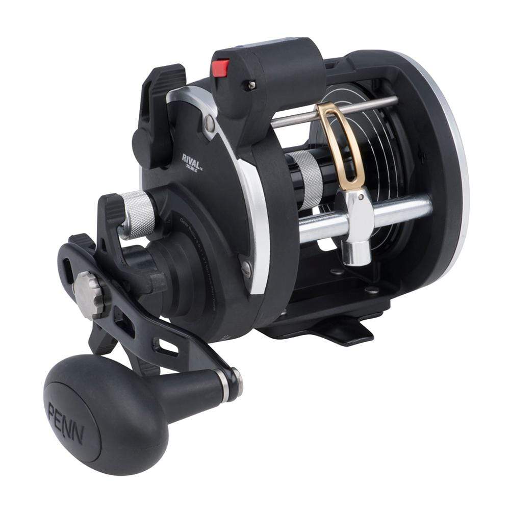 PENN Qualifies for Free Shipping PENN Rival 30 Level Wind Reel with Line Counter RIV30LWLC #1404003