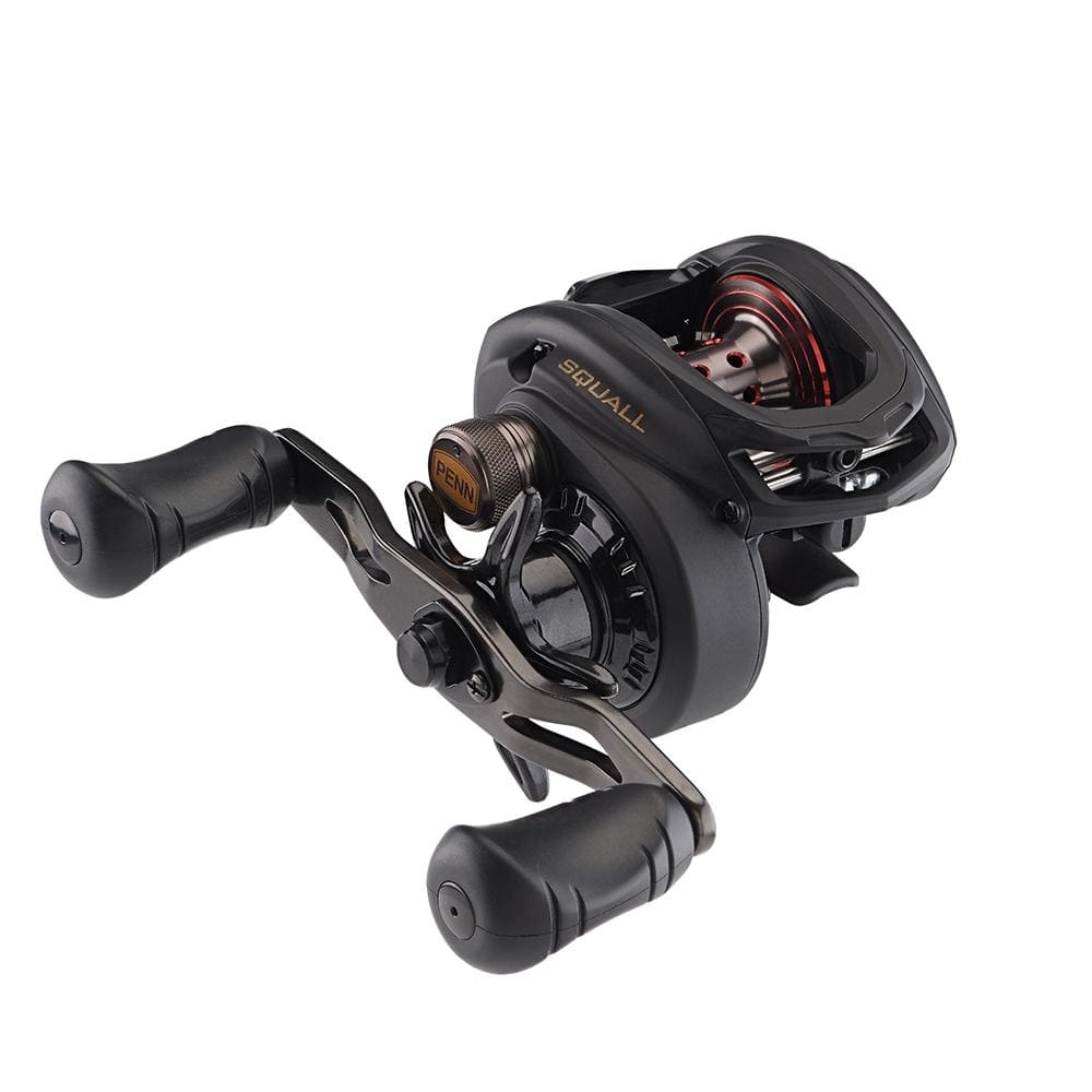 PENN Qualifies for Free Shipping Penn Squall Low Profile Reel SQL200LPHS #1525502