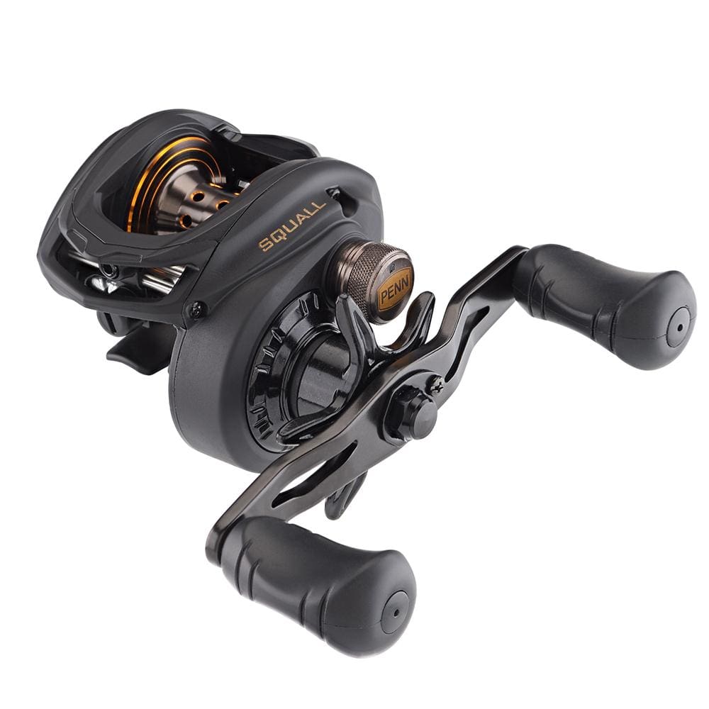 PENN Qualifies for Free Shipping Penn Squall Low Profile Reel SQL200LPLH #1525503