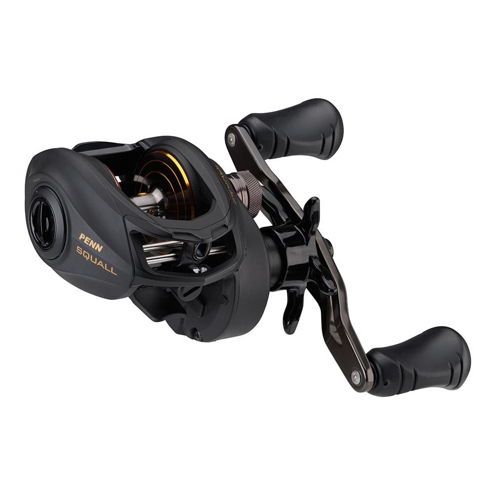 PENN Qualifies for Free Shipping Penn Squall Low Profile Reel SQL300LPLH #1525506