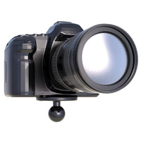 RAM U-Bolt ATV/UTV Strap w/1/4 -20 Threaded Stud #RAM-B-149Z-2-202A