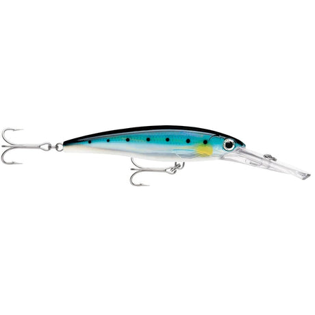 Rapala Qualifies for Free Shipping Rapala X-Rap Magnum 15 Blue Sardine #XRMAG15BSRD