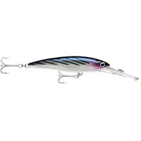Rapala Qualifies for Free Shipping Rapala X-Rap Magnum 15 Bonito #XRMAG15BTO
