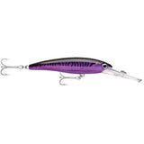 Rapala Qualifies for Free Shipping Rapala X-Rap Magnum 20 Purple Mackerel #XRMAG20PM