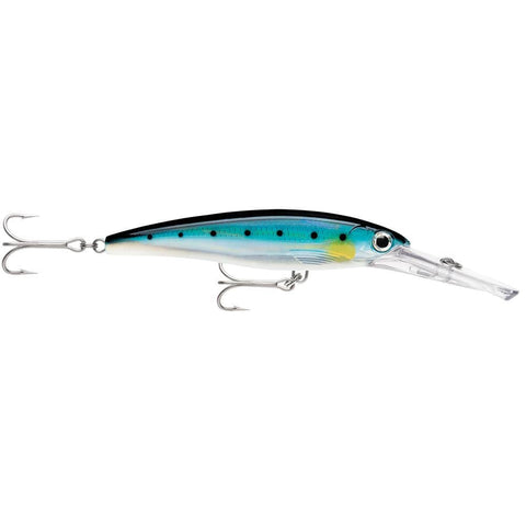 Rapala Qualifies for Free Shipping Rapala X-Rap Magnum 30 Blue Sardine #XRMAG30BSRD