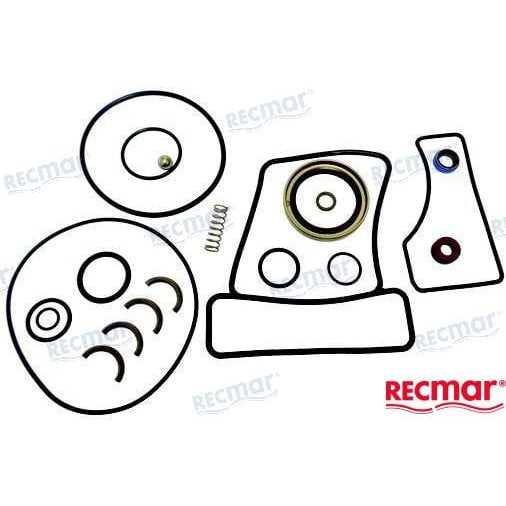 Recmar Qualifies for Free Shipping Recmar Gearcase Seal Kit #REC26-16709A2