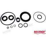 Recmar Qualifies for Free Shipping Recmar Gearcase Seal Kit #REC26-88397A1