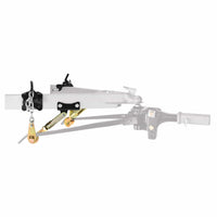 Reese Qualifies for Free Shipping Reese Dual Cam HP Classic Sway Control #26025