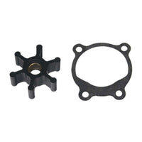Reverso Qualifies for Free Shipping Reverso Repair Kit for Pump OP-6 and OP-700 #38-0360
