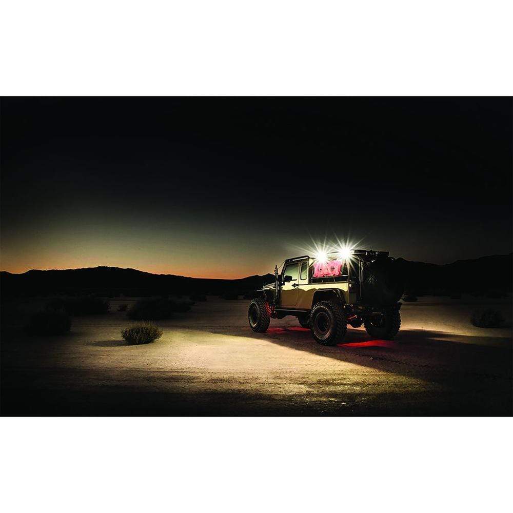 RIGID Industries Qualifies for Free Shipping RIGID 1" x 2" 65-Degee DC Scene Light Black #86610