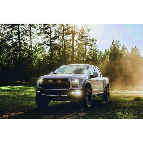 RIGID Industries Qualifies for Free Shipping RIGID D-Series Pro Dually Flood Surface-Mount #202113