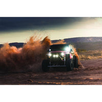 RIGID Industries Qualifies for Free Shipping RIGID D-Xl Pro Diffused Pair Black #322313