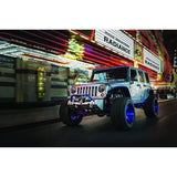 RIGID Radiance Plus 20" White Backlight #220003