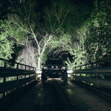 RIGID Industries Qualifies for Free Shipping RIGID Radiance Scene Lights Surface-Mount #68204