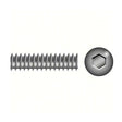 Seachoice Qualifies for Free Shipping Seachoice 1/4-20 x 1/4" Socket Set Screw SS 100-pk #01114
