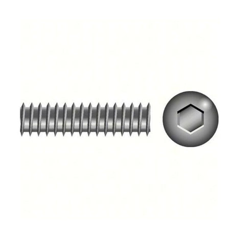 Seachoice Qualifies for Free Shipping Seachoice 1/4-20 x 1/4" Socket Set Screw SS 100-pk #01114