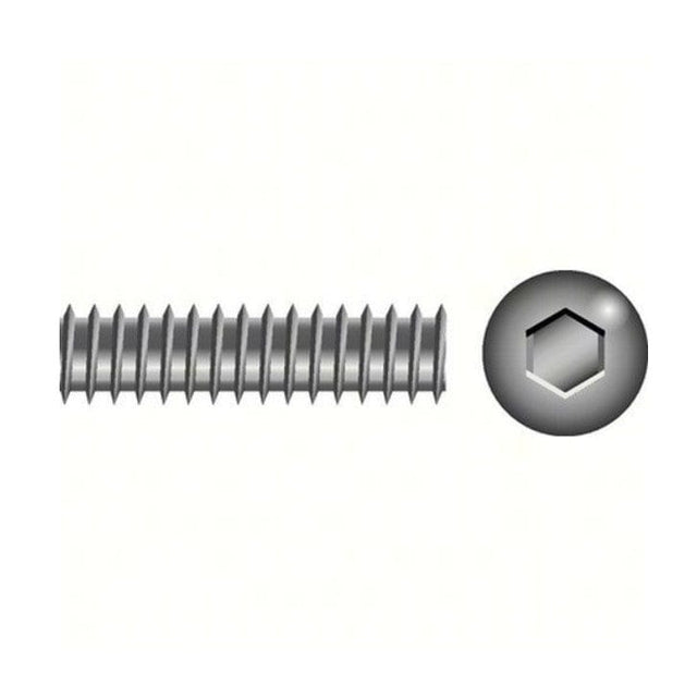 Seachoice Qualifies for Free Shipping Seachoice 1/4-20 x 1/4" Socket Set Screw SS 100-pk #01114