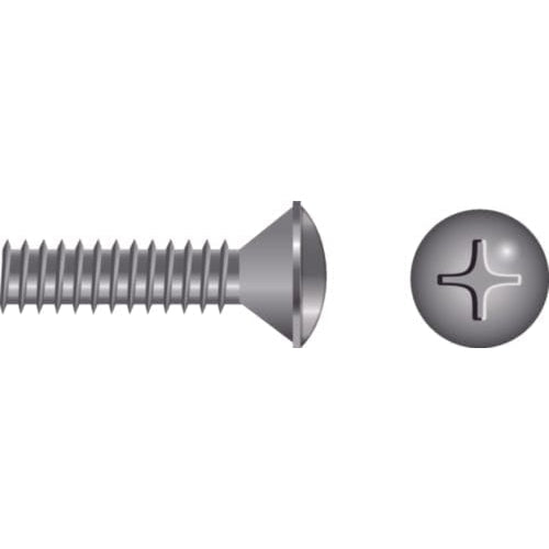 Seachoice Qualifies for Free Shipping Seachoice 1/4-20 x 2-1/2" Phillips Oval Machine Screw 2-pk #59704