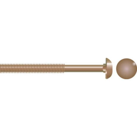 Seachoice Qualifies for Free Shipping Seachoice 1/4-20 x 3-1/2" Carriage Bolt 655 Silicon Bronze 10-pk #01481