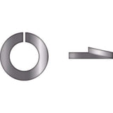 Seachoice Qualifies for Free Shipping Seachoice 1/4" Lock Washer 316 SS 100-pk #01009