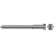 Seachoice Qualifies for Free Shipping Seachoice 1/4" x 3-1/2" Lag Screw SS 10-pk #00168