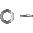 Seachoice Qualifies for Free Shipping Seachoice #10 Lock Washer 10-pk #59496