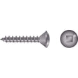 Seachoice Qualifies for Free Shipping Seachoice #10 x 1" Square Oval Sheet Metal Screw SS 100-pk #01131