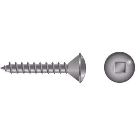 Seachoice Qualifies for Free Shipping Seachoice #10 x 1" Square Oval Sheet Metal Screw SS 100-pk #01131