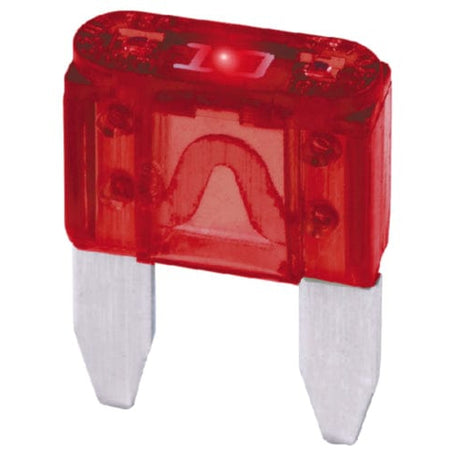 Seachoice Qualifies for Free Shipping Seachoice 10a ATM Indicating Fuses 2-pk #11441