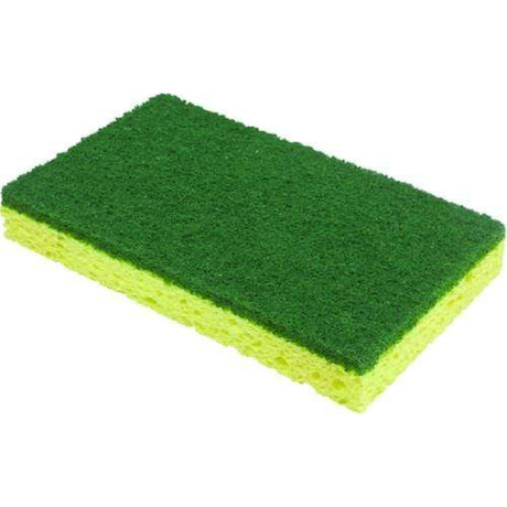 Seachoice Qualifies for Free Shipping Seachoice 2-In-1 Scrubber/Sponge #90018