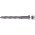 Seachoice Qualifies for Free Shipping Seachoice 5/16" x 4" Lag Screw SS 10-pk #00181