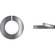Seachoice Qualifies for Free Shipping Seachoice 5/8" Lock Washer 316 25-pk #01703