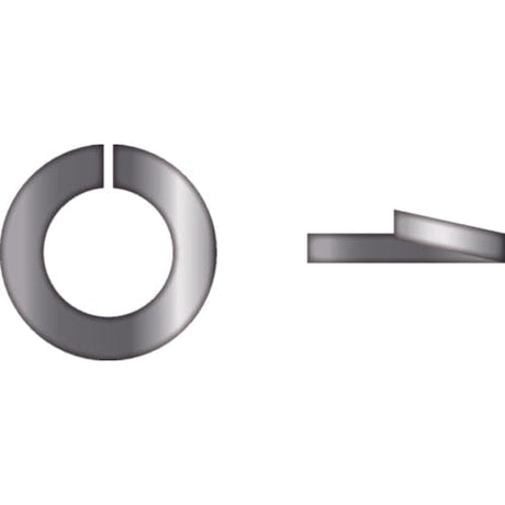 Seachoice Qualifies for Free Shipping Seachoice M12 Lock Washer 316 SS 50-pk #01247