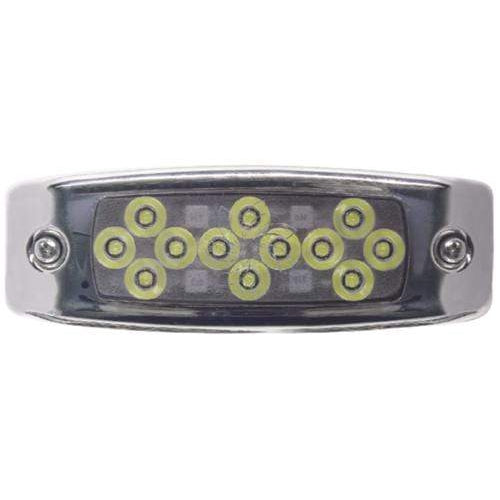 Seachoice Qualifies for Free Shipping Seachoice Water Dragon with SS 12 LED White #03611
