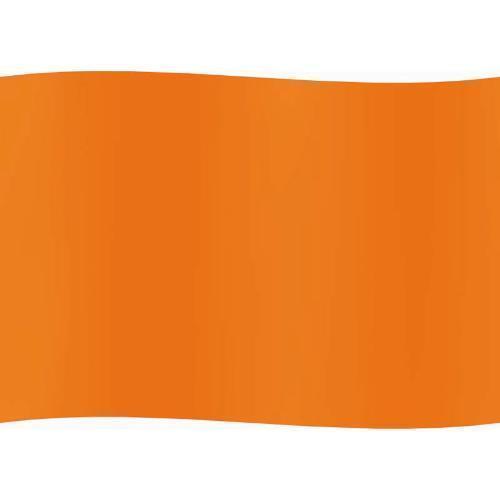 Seasense Water Ski Flag #50071006