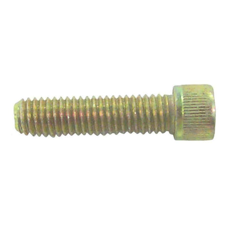 Sierra Not Qualified for Free Shipping Sierra Anode Mounting Bolt #18-6245