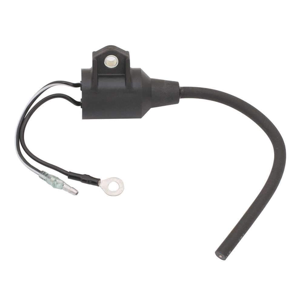 Sierra Not Qualified for Free Shipping Sierra Coil Ignition #18-23602