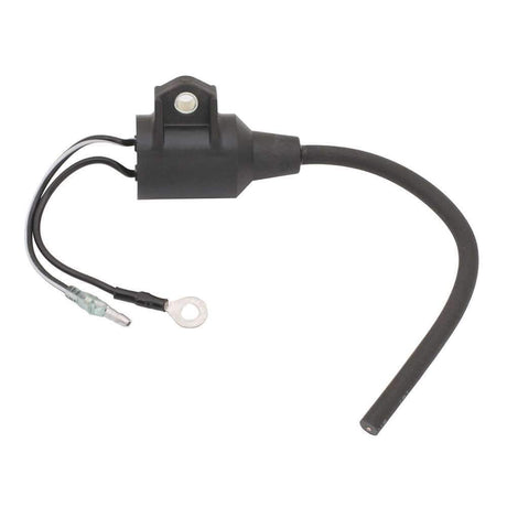 Sierra Not Qualified for Free Shipping Sierra Coil Ignition #18-23602