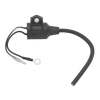 Sierra Not Qualified for Free Shipping Sierra Coil Ignition #18-23602