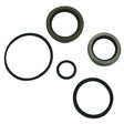 Sierra Not Qualified for Free Shipping Sierra Crankshaft Seal Kit #18-4329