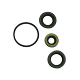 Sierra Crankshaft Seal Kit #18-4332