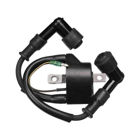 Sierra Not Qualified for Free Shipping Sierra Ignitioin Coil #18-5133
