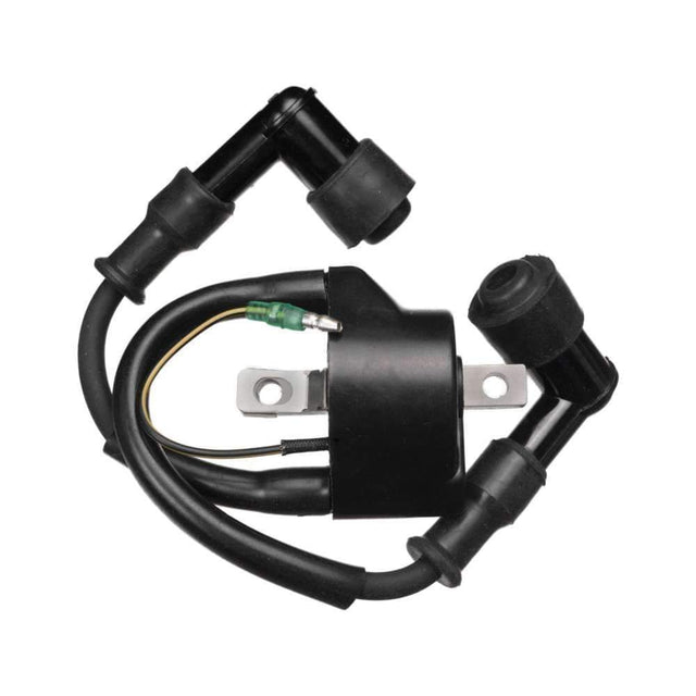 Sierra Not Qualified for Free Shipping Sierra Ignitioin Coil #18-5133