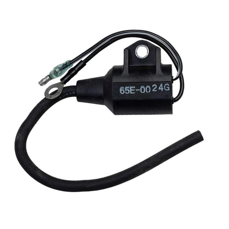 Sierra Not Qualified for Free Shipping Sierra Ignition Coil #18-5119