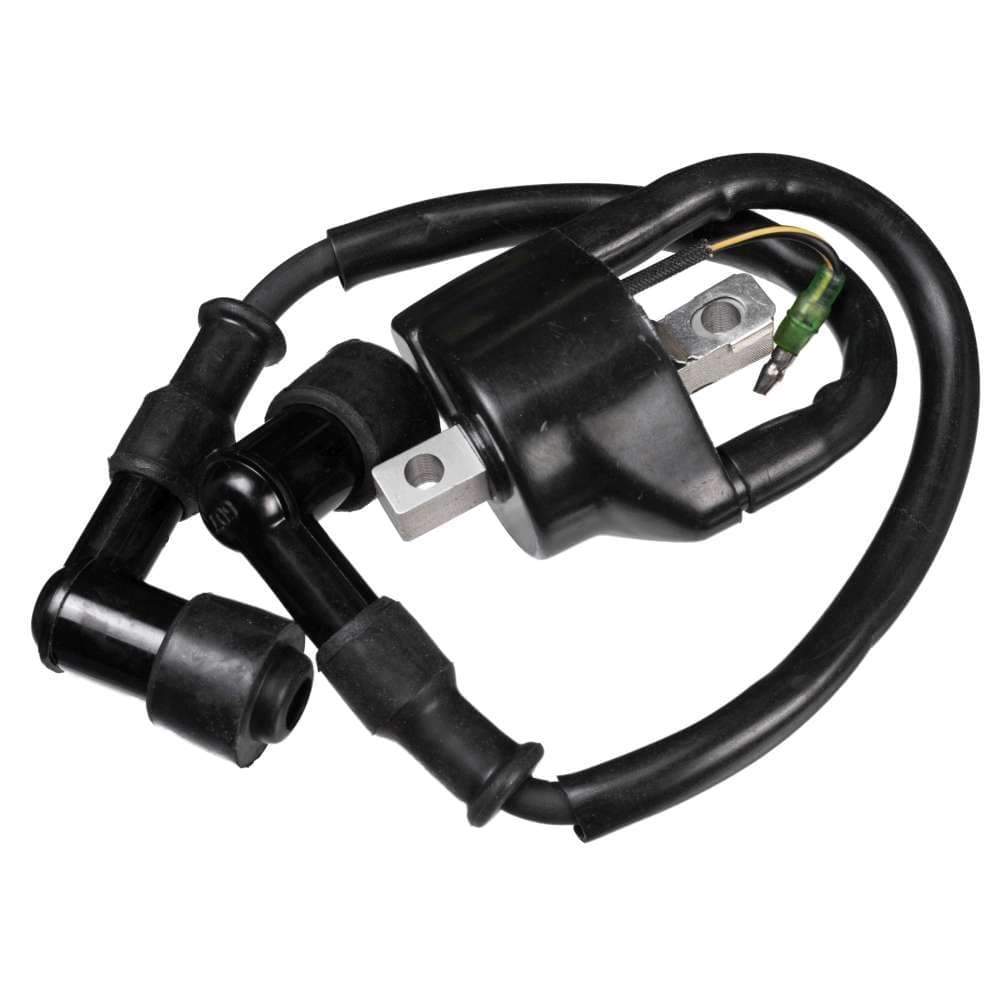 Sierra Not Qualified for Free Shipping Sierra Ignition Coil #18-5166