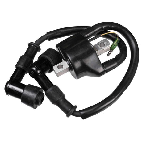 Sierra Not Qualified for Free Shipping Sierra Ignition Coil #18-5166