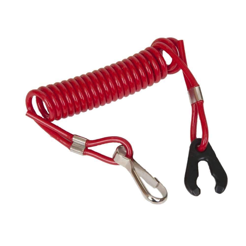 Sierra Not Qualified for Free Shipping Sierra Ignition Lanayard #MP28860